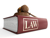 Law Book and Gavel