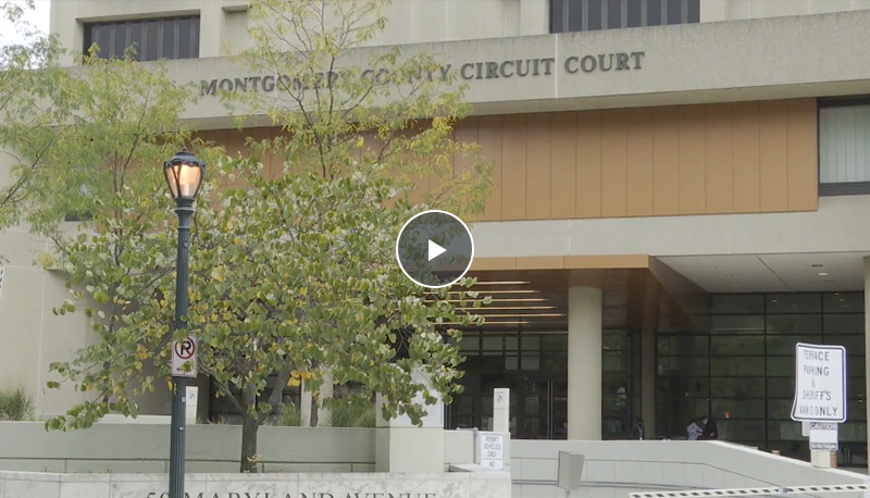 Reopening the Courts - Local DVM