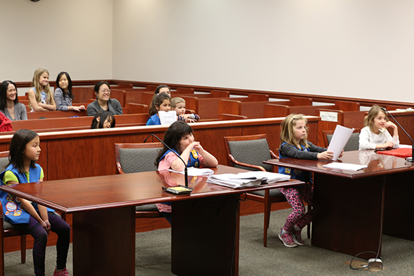 Daisies at courthouse mock trial